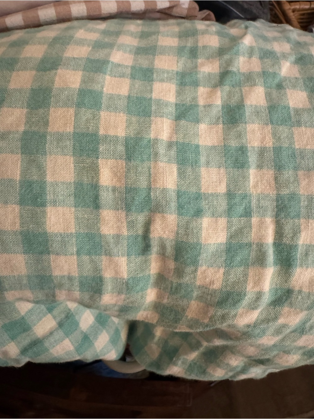 Piglet In Bed Pistachio Queen Duvet Cover